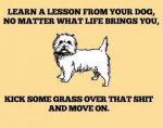 ImageUploadedByTapatalk1429665802.223389.jpg