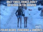ImageUploadedByTapatalk1429665873.312271.jpg