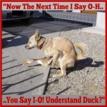 ImageUploadedByTapatalk1429988818.524849.jpg
