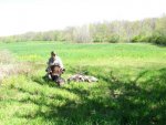 IMG_0217web.jpg