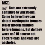 ImageUploadedByTapatalk1430438122.557751.jpg
