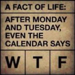 ImageUploadedByTapatalk1430438238.634617.jpg