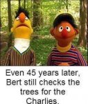 ImageUploadedByTapatalk1430438653.870247.jpg