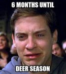 FB_IMG_1430472342335.jpg