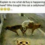 ImageUploadedByTapatalk1430535422.193902.jpg