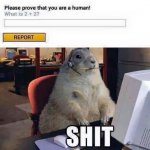 ImageUploadedByTapatalk1430538973.392669.jpg