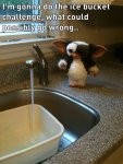 ImageUploadedByTapatalk1430539211.832470.jpg