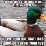ImageUploadedByTapatalk1430539354.209411.jpg