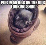 ImageUploadedByTapatalk1430869496.685859.jpg