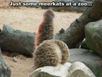 ImageUploadedByTapatalk1432085575.294903.jpg