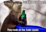 ImageUploadedByTapatalk1432085789.398916.jpg