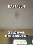 ImageUploadedByTapatalk1432326376.573526.jpg