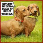 ImageUploadedByTapatalk1432343914.881121.jpg