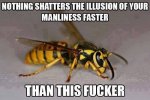ImageUploadedByTapatalk1432344610.164564.jpg