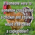 ImageUploadedByTapatalk1432595283.311072.jpg