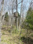 20150424_130110.jpg