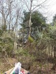 20150424_132915.jpg