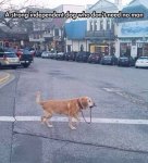 ImageUploadedByTapatalk1433298182.913847.jpg