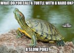 ImageUploadedByTapatalk1433298778.226535.jpg