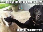 ImageUploadedByTapatalk1433298922.788922.jpg