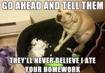 ImageUploadedByTapatalk1433471394.478429.jpg