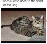 ImageUploadedByTapatalk1433471468.952012.jpg