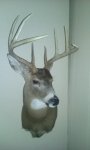 mount2.jpg