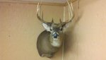 2011-09-09_21-21-50_85.jpg