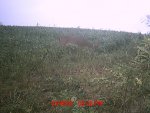 MDGC0085.jpg