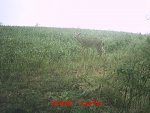 MDGC0094.jpg