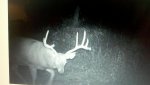 2011-09-16_20-24-13_999.jpg