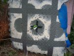 100_1145.JPG