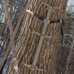 5250-climbing-stick-185.jpg