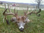 becksbuck.jpg