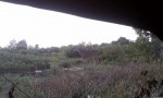 IMAG0518.jpg