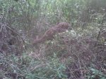 2011-09-28_10-09-33_606.jpg
