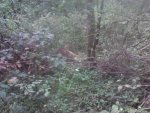 2011-09-28_09-50-18_406.jpg