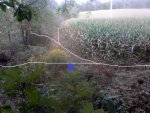 2011-09-29_16-18-29_162.jpg