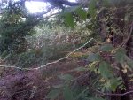 2011-09-29_16-18-37_547.jpg