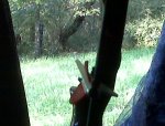 Ground Blind Pic.jpg