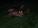 2011 Buck (2).jpg