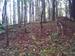 PICT0036.jpg