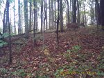 PICT0033.jpg