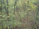 food plot stand.jpg