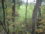 stand feild oak.jpg