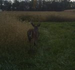 Duane's Woods 070.jpg