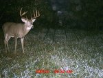 B0 & Auction 006.jpg