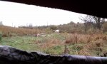 IMAG0562.jpg