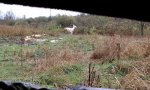 IMAG0566.jpg