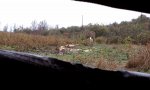 IMAG0565.jpg